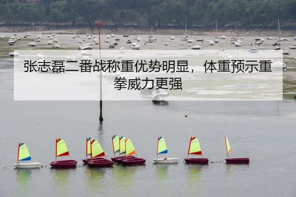 张志磊二番战称重优势明显，体重预示重拳威力更强